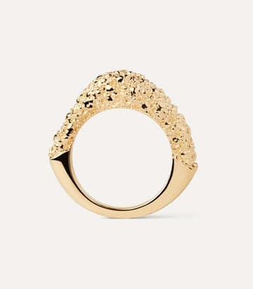 Anillo Grande